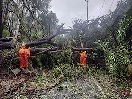 2 Dead, Houses Damaged Due To Winds Triggered By Cyclone In Goa: Chief Minister Pramod Sawant 2 Dead, Houses Damaged Due To Winds Triggered By Cyclone In Goa: Chief Minister Pramod Sawant