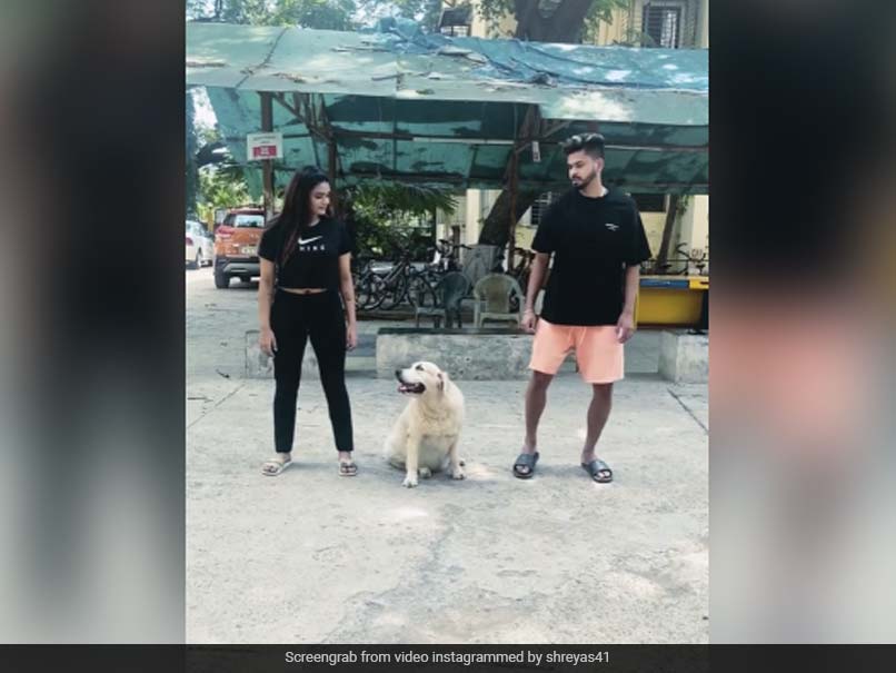 Watch: Priceless Reaction Of Shreyas Iyer's Dog After Indian Cricketer And Sister Shresta Left Her On A Street