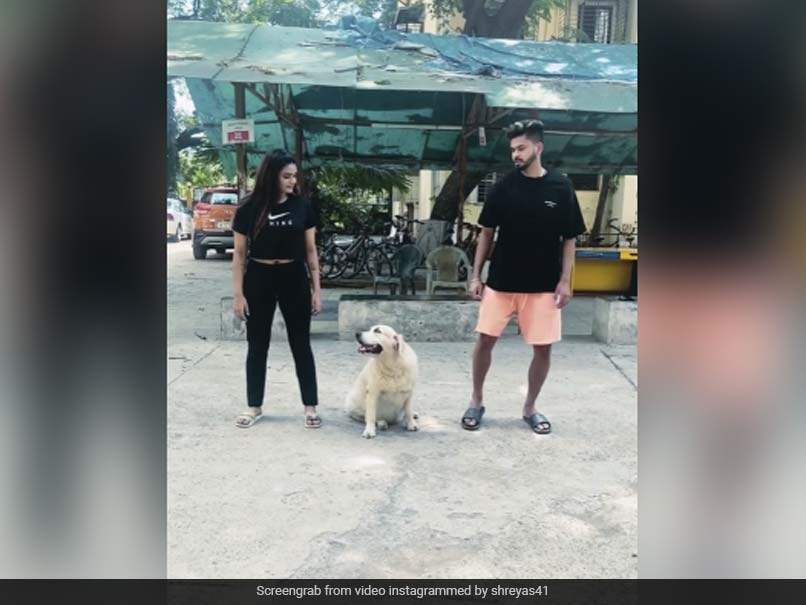 Watch: Priceless Reaction Of Shreyas Iyers Dog After Indian Cricketer And Sister Shresta Left Her On A Street Watch: Priceless Reaction Of Shreyas Iyers Dog After Indian Cricketer And Sister Shresta Left Her On A Street