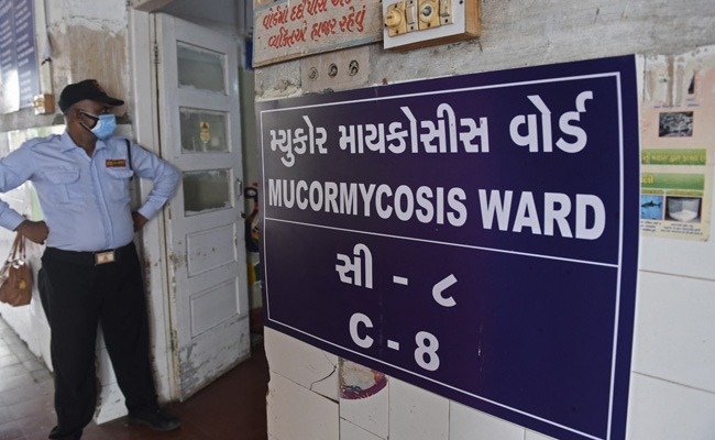 Amid Report Of 'Yellow Fungus' Case, AIIMS Chief Warns Of "Confusion"