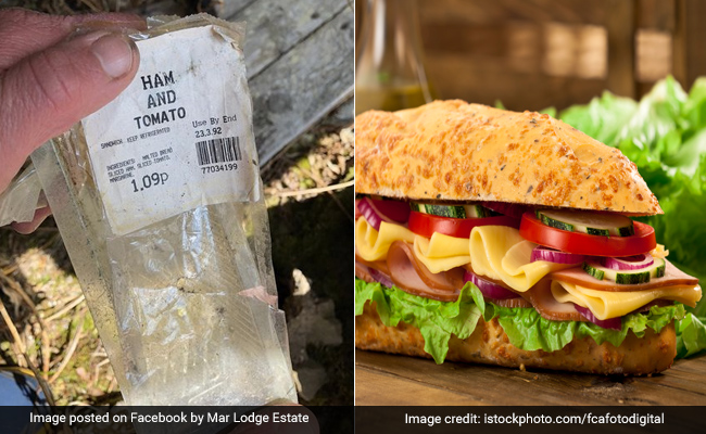 Viral: Sandwich Wrapper From 1992 Found Intact In Scotland's National Park
