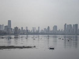 Cyclone Tauktae Kills 6 In Maharashtra, "Highest Ever" Wind Speeds Sweep Mumbai Cyclone Tauktae Kills 6 In Maharashtra, "Highest Ever" Wind Speeds Sweep Mumbai