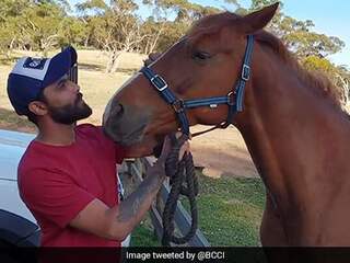 "Back Where I Feel Safe": Ravindra Jadeja Shares Pics Of His Horses