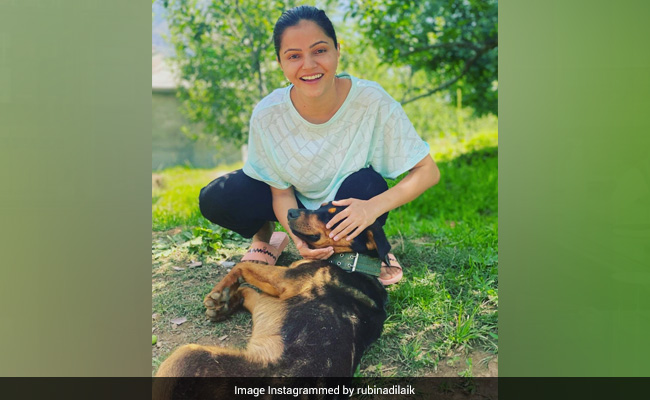 Rubina Dilaik Had A Reunion After 8 Months With...