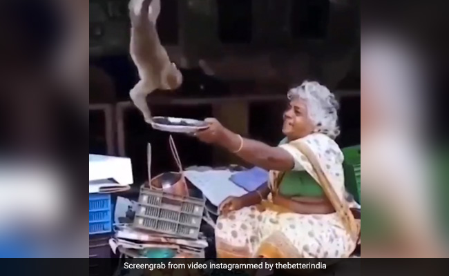 बुजुर्ग महिला ने प्लेट में रखकर बंदरों को प्यार से खिलाया अंगूर, लोग बोले- ‘इंसान को दिल से अमीर होना चाहिए’ - देखें Video