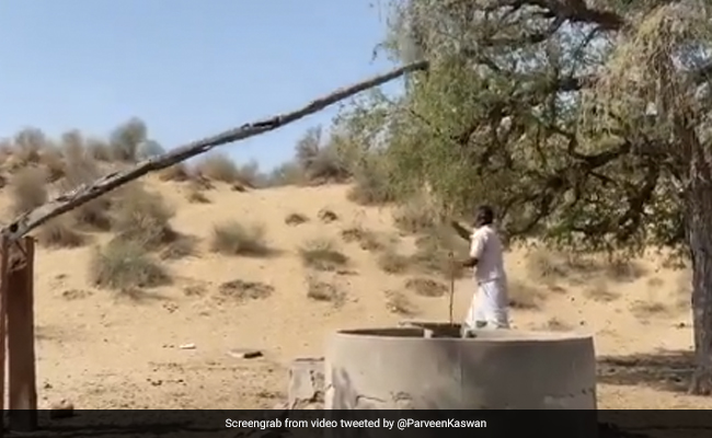 कुएं से पानी भरने के लिए गांव के शख्स ने किया गजब का जुगाड़, लोगों ने कहा- ‘न्यूटन का तीसरा नियम’ - देखें Video