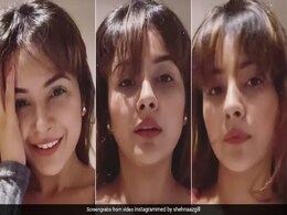 Little Star गाने पर Shehnaaz Gill के जबरदस्त एक्सप्रेशन, अरबाज खान की गर्लफ्रेंड ने जमकर की तारीफ Little Star गाने पर Shehnaaz Gill के जबरदस्त एक्सप्रेशन, अरबाज खान की गर्लफ्रेंड ने जमकर की तारीफ