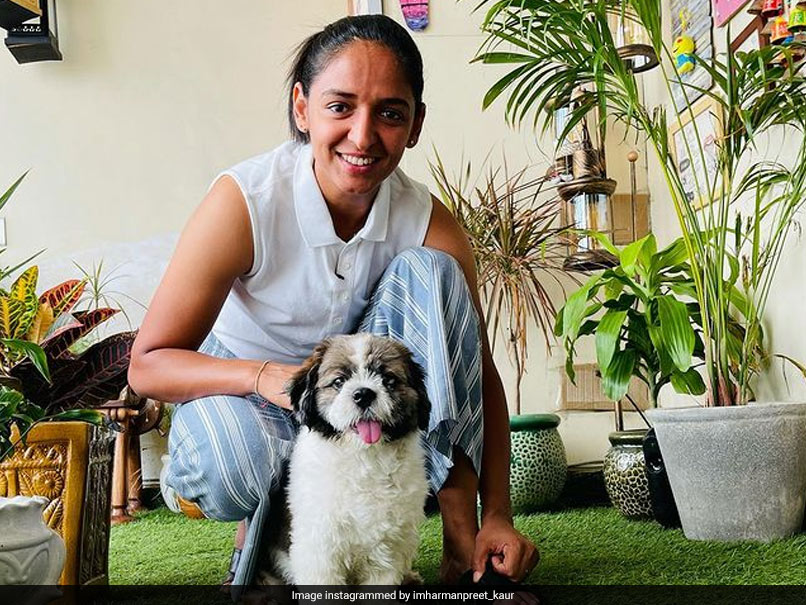 "You Fill My Heart Without Trying": Harmanpreet Kaur Shares Adorable Picture With Dog