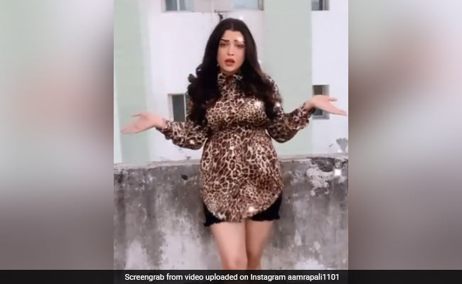 Amrapali Dubey ने 'रोला पे गया' पंजाबी सॉन्ग पर किया डांस, वायरल हुआ यूट्यूब क्वीन का Video