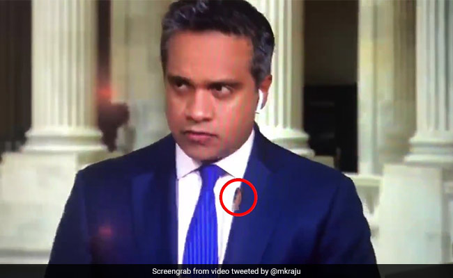 Watch: Reporter's Live Shot Gets Interrupted By An "Unwelcome Visitor"
