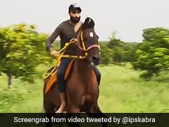 Watch Ravindra Jadeja As He 'Sharpens' His Horse-Riding Skills
