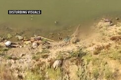 More Bodies In Bihar, Dumped By Ambulances; "Floating Corpses" Count 71 More Bodies In Bihar, Dumped By Ambulances; "Floating Corpses" Count 71