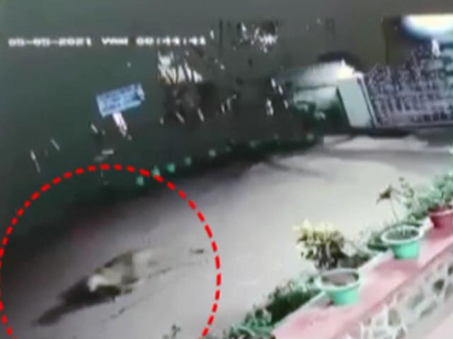 कैमरे में कैद : नासिक के रिहायशी इलाके में दिखा तेंदुआ