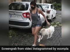 मलाइका अरोड़ा ने डॉग संग तेज बारिश में की मार्निंग वॉक, फैंस बोले-'ये फैशन शो नहीं, तूफान है'