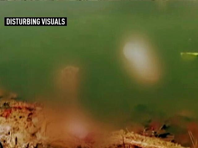 "You Must See Where Bodies Come From": Bihar Minister Tweets Centre