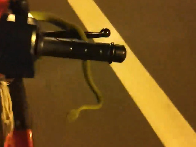 Motorcycle Rider Finds A Slithery Surprise