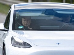 "Please Help," Beg Those Who Lost $2 Million to Fake Elon Musks