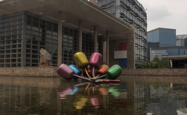 "Are You Like This Dog...?" US Embassy's Student Visa Post Angers Chinese