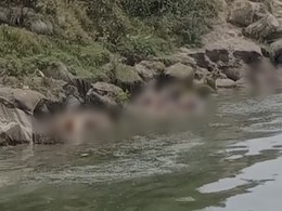 More Bodies Found Floating In Bihar; Shock, Health Concerns Among Locals More Bodies Found Floating In Bihar; Shock, Health Concerns Among Locals