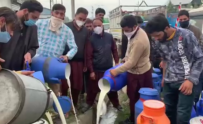 Kashmir Dairy Farmers Dump Milk In Drains As Covid Curbs Hit Demand
