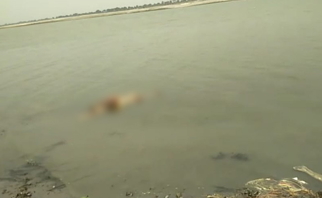 Now Half-Burnt Bodies Found Floating In Ganga Near Varanasi