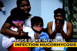 As Black Fungus Cases Spike, Pharmacies Run Out of Antifungal Drug Amphotericin As Black Fungus Cases Spike, Pharmacies Run Out of Antifungal Drug Amphotericin