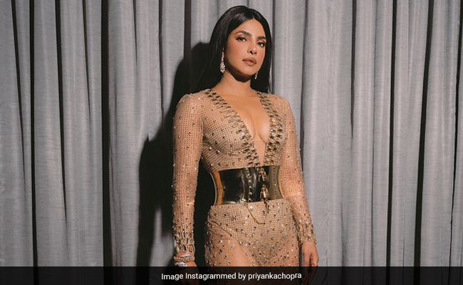 Priyanka Chopra, International Red Carpet Chameleon: 10 Top Looks