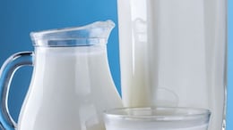 5 Best Milk Powder Options To Make Tea And Coffee
