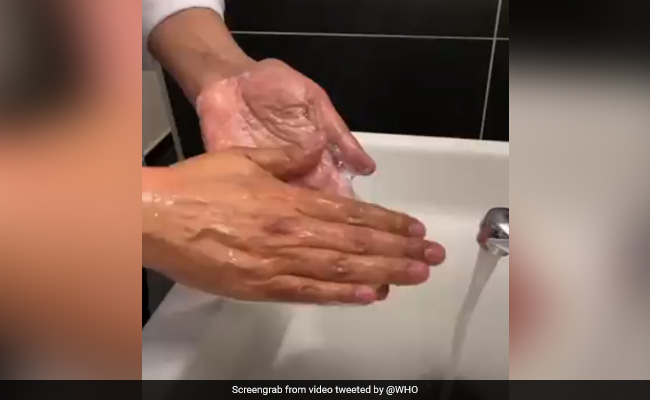 World Hand Hygiene Day: Slogan, Campaign, How Hand Hygiene Saves Lives