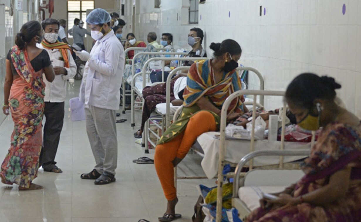 What Is Black Fungus And Why Are Cases Up In India What We Know So Far