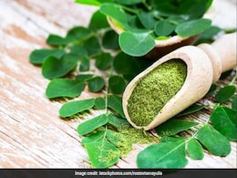 Benefits of Moringa/Sahjan: डायबिटीज करता है कंट्रोल, दिल को भी रखता है हेल्दी, जानिए चमत्कारी सहजन के कमाल के फायदे Benefits of Moringa/Sahjan: डायबिटीज करता है कंट्रोल, दिल को भी रखता है हेल्दी, जानिए चमत्कारी सहजन के कमाल के फायदे
