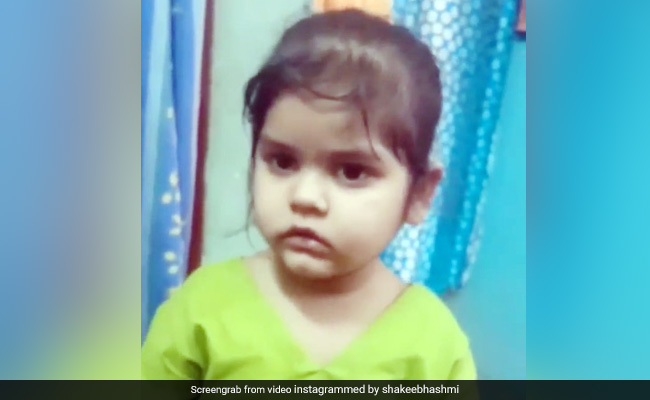 बिल्ली ने छोड़ा अपने बच्चों को, तो गुस्सा गई बच्ची, पापा से बोली- 'यह प्यार ही नहीं करती थी...' - देखें Video