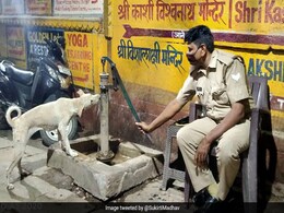 पुलिसवाले ने हैंडपंप चलाकर कुत्ते को पिलाया पानी, IPS बोली- ‘जो कुत्तों से प्यार करता है, वो अच्छा इंसान होता है’ - Viral Photo पुलिसवाले ने हैंडपंप चलाकर कुत्ते को पिलाया पानी, IPS बोली- ‘जो कुत्तों से प्यार करता है, वो अच्छा इंसान होता है’ - Viral Photo