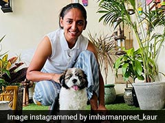 See Harmanpreet Kaurs Adorable Post For Her Fluffy Friend