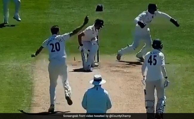 काउंटी क्रिकेट में दिखा 'Dhoni' जैसा विकेटकीपर, बल्लेबाज को पलक झपकते ही कर दिया स्टंप, देखें Video