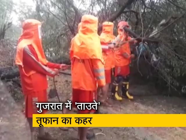 गुजरात: चक्रवात 'ताउते' ने मचाई तबाही, सड़क पर गिरे पेड़ों को हटाते NDRF के जवान