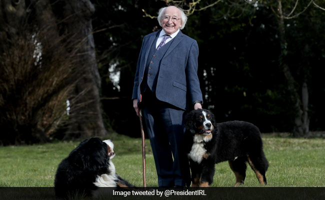 Viral Video: Irish President's Dog Steals The Show On Live TV