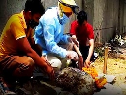 कोविड से लड़ने के बाद 150 दिनों की नन्ही परी की मौत, गम में डूबे पिता बोले- 'कितने दर्द में रही होगी...' कोविड से लड़ने के बाद 150 दिनों की नन्ही परी की मौत, गम में डूबे पिता बोले- 'कितने दर्द में रही होगी...'