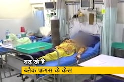 ब्लैक फंगस: गुजरात में सबसे ज्यादा 2,281 केस दर्ज ब्लैक फंगस: गुजरात में सबसे ज्यादा 2,281 केस दर्ज