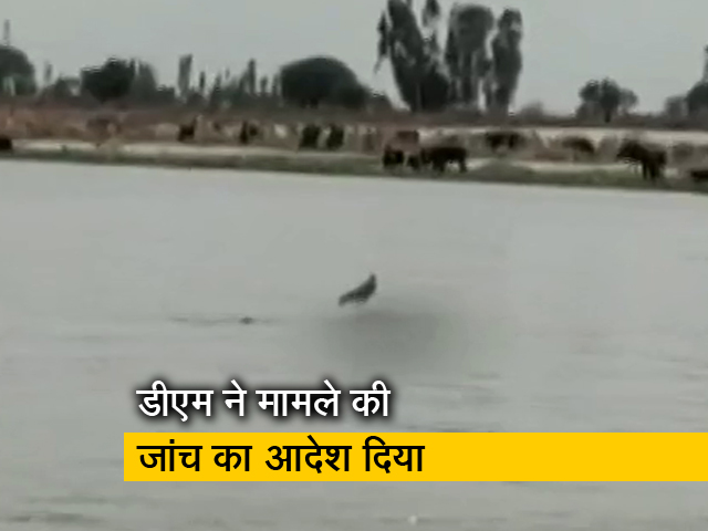 उत्तर प्रदेश के बक्सर कस्बे में गंगा में बहते नजर आए शव