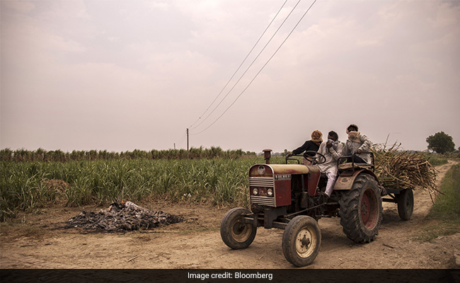 "Entire Families" Wiped Out By Covid In Rural India: Report