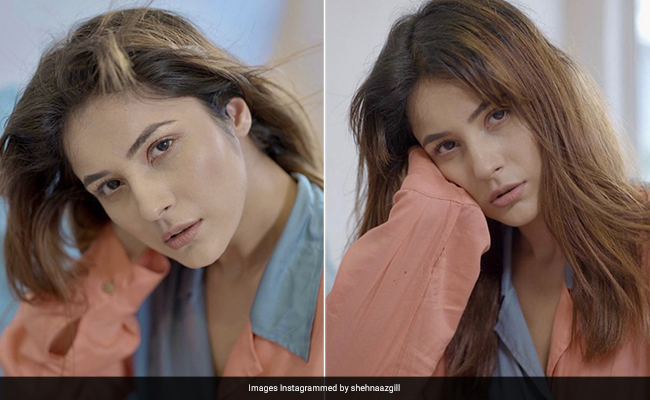 Shehnaaz Gill Turns Into A Makeup Pro With Her Fresh-Faced No-Makeup Makeup Look