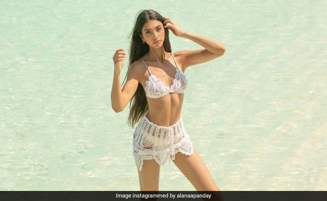 Alanna Panday ने Beach पर करवाया फोटोशूट तो फैन ने पूछा- क्या मालदीव में आपका अपना घर है...