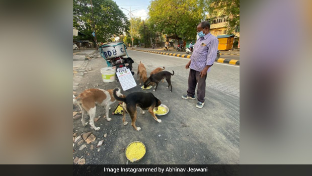 Watch: This Man From Nagpur Is Feeding 150 Dogs Daily For Last 11 Years