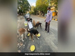 Watch: This Man From Nagpur Is Feeding 150 Dogs Daily For Last 11 Years Watch: This Man From Nagpur Is Feeding 150 Dogs Daily For Last 11 Years