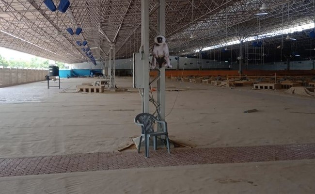 कोविड केयर सेंटर में बंदरों को भगाने के लिए लंगूर के कटआउट लगाए