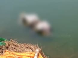 गंगा नदी में नहीं थम रहा बहती लाशों के दिखने का सिलसिला, प्रशासन लीपापोती में जुटा गंगा नदी में नहीं थम रहा बहती लाशों के दिखने का सिलसिला, प्रशासन लीपापोती में जुटा