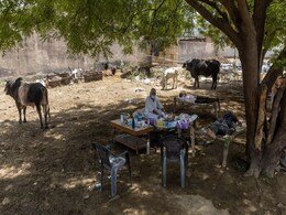 No Hospital, People Get Covid Care On Cots Under Tree In UP Village No Hospital, People Get Covid Care On Cots Under Tree In UP Village