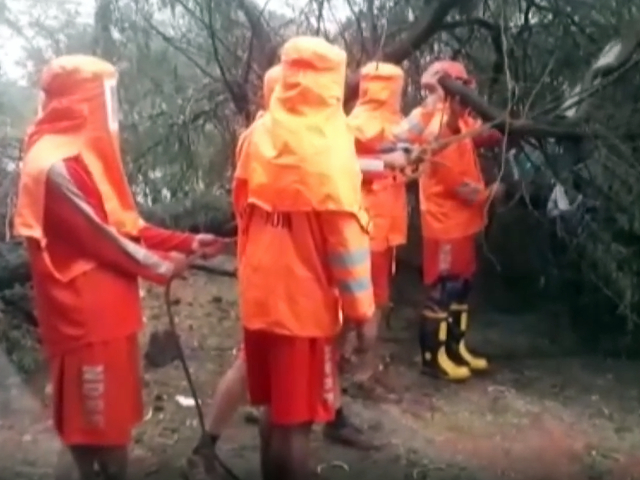 Cyclone Tauktae: NDRF Removes Uprooted Trees In Gujarat's Navsari