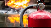 2 Pet Dogs Die, 7 Residents Rescued From Fire In Delhi's New Friends Colony